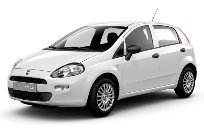 Fiat Punto Usata disponibile su Ariel Car