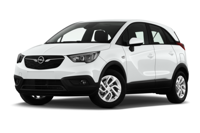 SUV usati